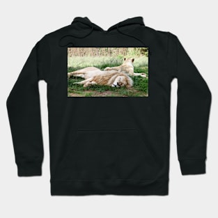 Pair of White Lions Hoodie